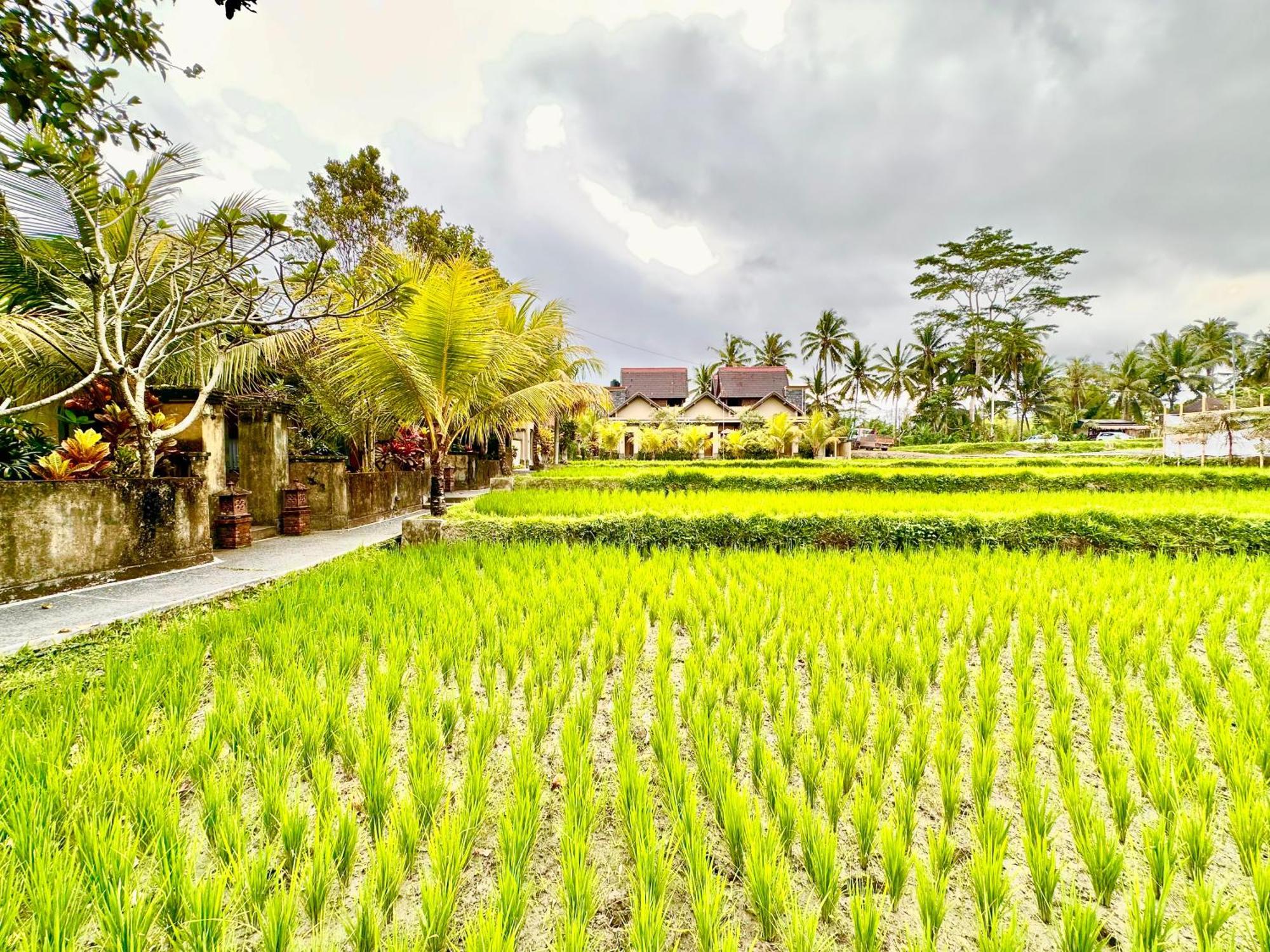 Dupa Ubud Villa Esterno foto
