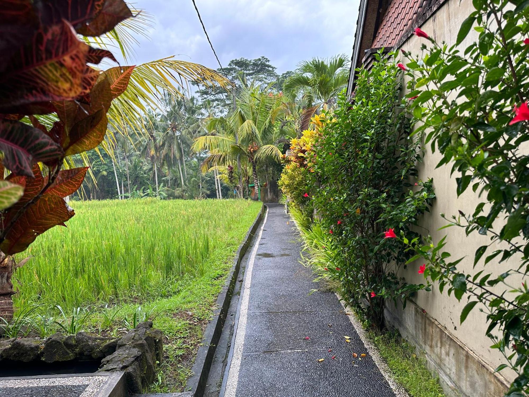 Dupa Ubud Villa Esterno foto