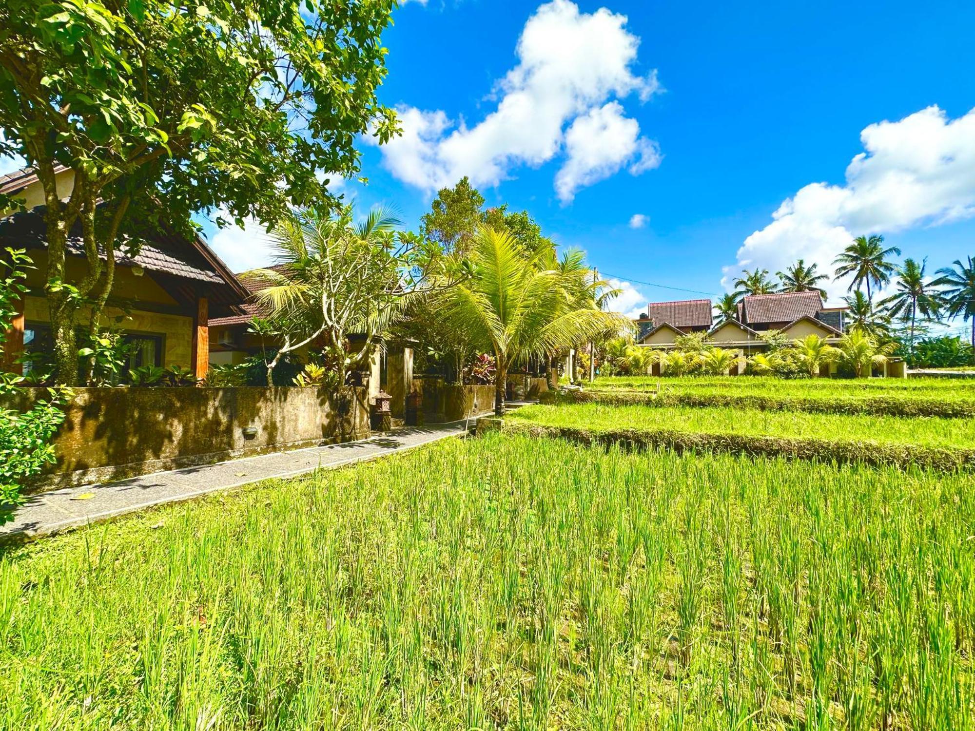 Dupa Ubud Villa Esterno foto
